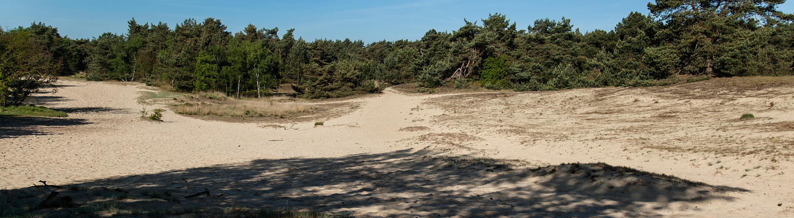 drunense-duinen